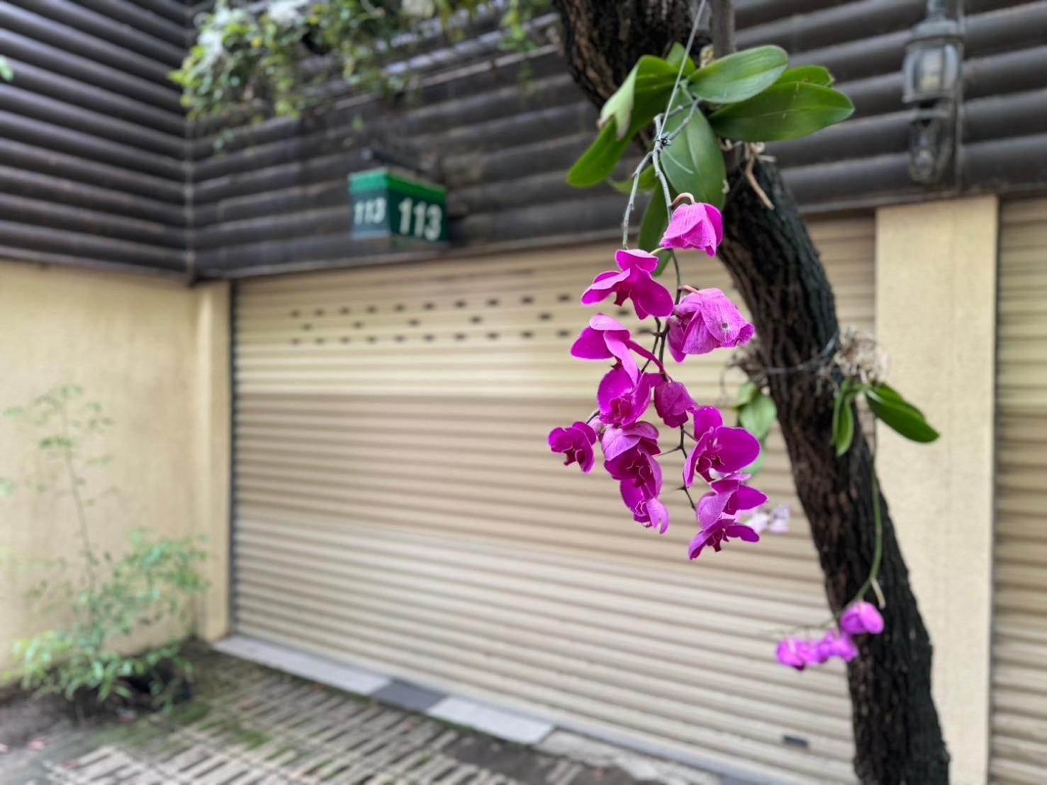Ivy Motel Chiayi City Exteriör bild